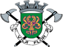 bvvilaflor.pt